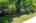Blurred preview of media: 42