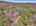 Blurred preview of media: DJI_20260408121538_0457_D_8_D_9_D_easyHDR
