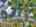 Blurred preview of media: DJI_20250903123500_0934_D_5_D_6_D_easyHDR