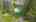 Blurred preview of media: DJI_0289