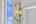 Blurred preview of media: Daytime65