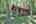 Blurred preview of media: 9r