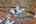Blurred preview of media: IMG_0692_3_4_easyHDR