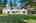 Blurred preview of media: 50