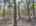 Blurred preview of media: DJI_20260505134050_0814_D_5_D_6_D_easyHDR