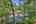 Blurred preview of media: 9zzzb