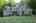Blurred preview of media: IMG_1643