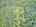 Blurred preview of media: DJI_20250802150457_0760_D_1_D_2_D_easyHDR