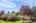 Blurred preview of media: 1-6