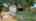 Blurred preview of media: IMG_5835