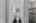 Blurred preview of media: 029