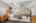 Blurred preview of media: DSC07678
