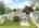 Blurred preview of media: 121 Millbury Avenue Millbury Massachusetts Job 39336 0076