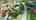 Blurred preview of media: Unknown media