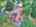 Blurred preview of media: DJI_20260625123058_0468_D_69_D_70_D_easyHDR