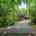 Blurred preview of media: image000002