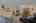 Blurred preview of media: DSC_3350