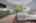 Blurred preview of media: 23