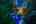 Blurred preview of media: 4Sept0023