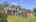 Blurred preview of media: IMG_1975