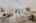 Blurred preview of media: 260159-24