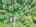 Blurred preview of media: DJI_20250616144740_0849_D_50_D_51_D_easyHDR