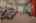Blurred preview of media: River Terrace 06