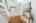 Blurred preview of media: Nerine_037