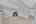 Blurred preview of media: CB108299