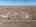 Blurred preview of media: A-44