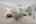 Blurred preview of media: 62-manor-square-sparta-nj-usa-house-010