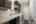 Blurred preview of media: 44-5034_NW_Deerhaven_Ter