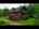 Blurred preview of media: Unknown media