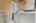 Blurred preview of media: _MG_0185