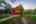 Blurred preview of media: TWI-TEL01216-HDR