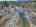 Blurred preview of media: DJI_20260424130724_0742_D_3_D_4_D_easyHDR