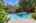 Blurred preview of media: Nerine_023