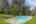 Blurred preview of media: IMG_0919