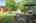 Blurred preview of media: IMG_9273