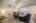 Blurred preview of media: Image-25