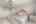 Blurred preview of media: Primary3