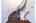 Blurred preview of media: 097