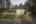 Blurred preview of media: PAX_0805 dte