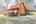 Blurred preview of media: 137 Old Arbor Way Rd-65