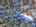 Blurred preview of media: DJI_20250222143833_0762_D_3_D_4_D_easyHDR
