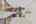 Blurred preview of media: 1F3A7144