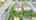 Blurred preview of media: DJI_0572-2