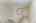 Blurred preview of media: 014