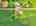 Blurred preview of media: DJI_20260723143834_0817_D_8_D_9_D_easyHDR