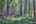 Blurred preview of media: IMG_4607_8_9_easyHDR